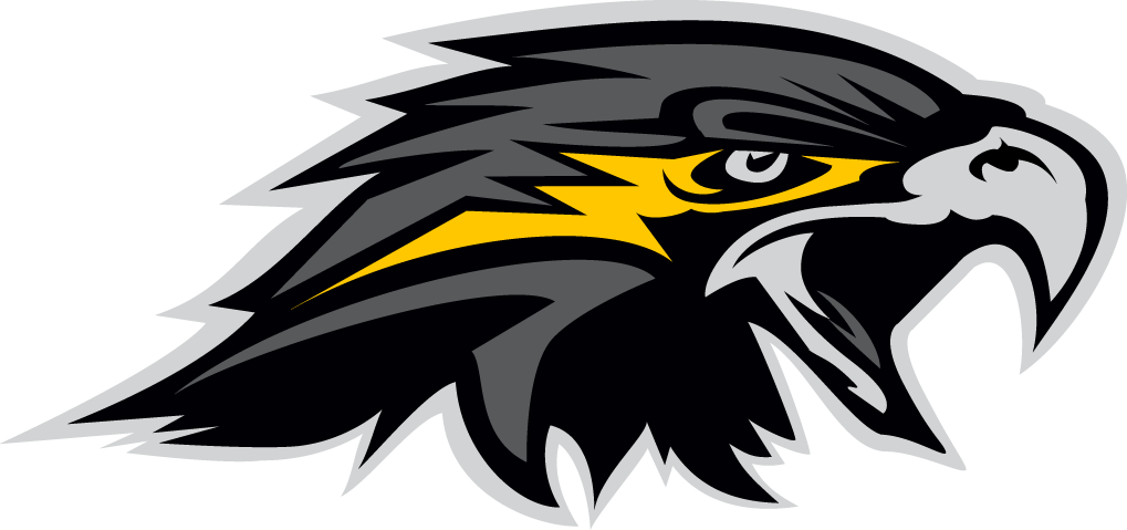 Wichita Falls Nighthawks 2015-Pres Secondary Logo v2 iron on transfers for clothing